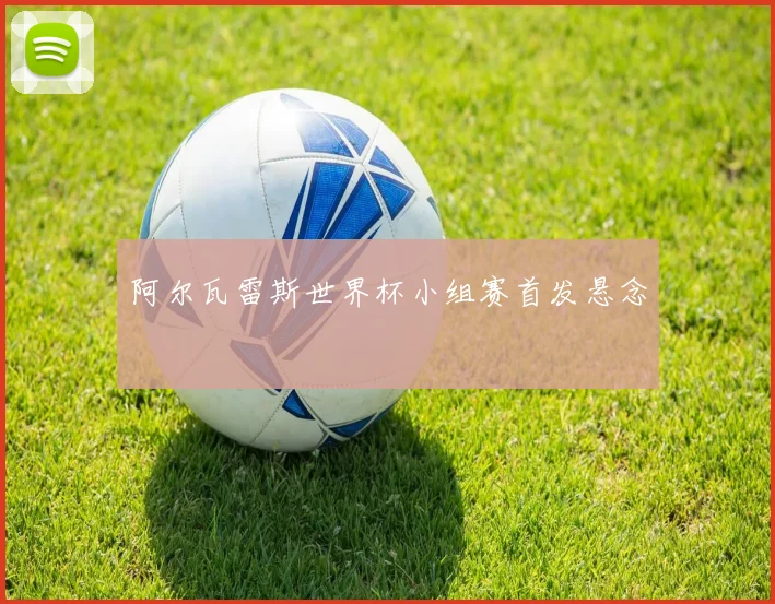 阿尔瓦雷斯世界杯小组赛首发悬念