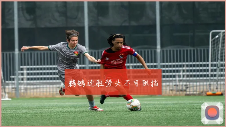 鹈鹕连胜势头不可阻挡