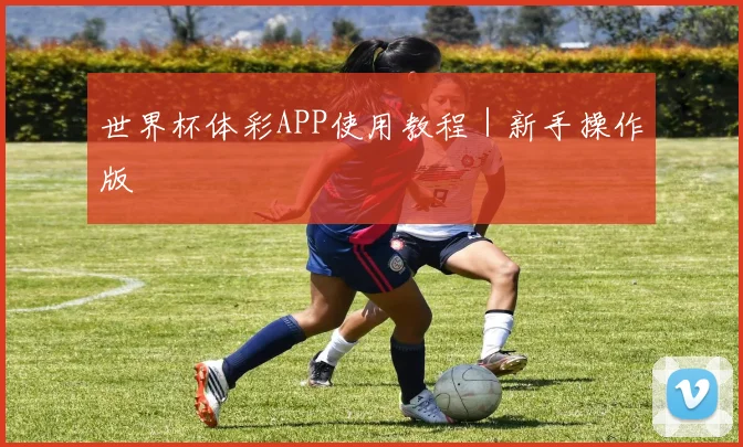 世界杯体彩APP使用教程｜新手操作版