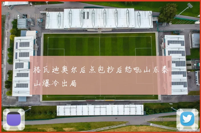 格瓦迪奥尔后点包抄后怒吼山东泰山爆冷出局