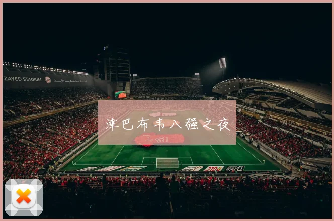 津巴布韦八强之夜