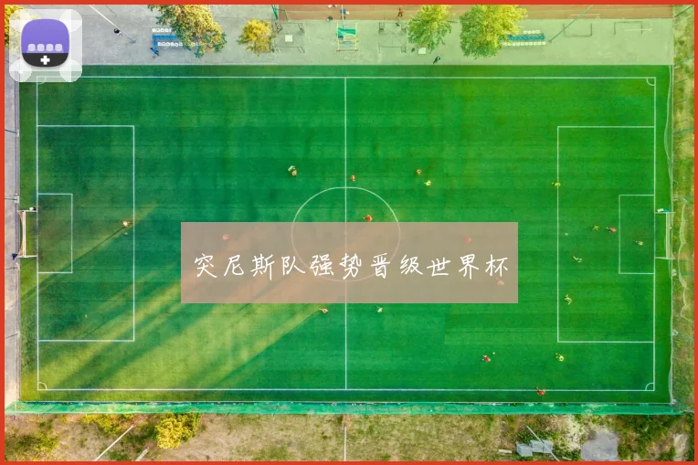 突尼斯队强势晋级世界杯