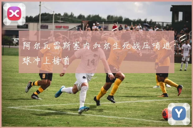 阿尔瓦雷斯塞内加尔生死战压哨进球冲上榜首