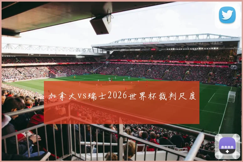 加拿大vs瑞士2026世界杯裁判尺度