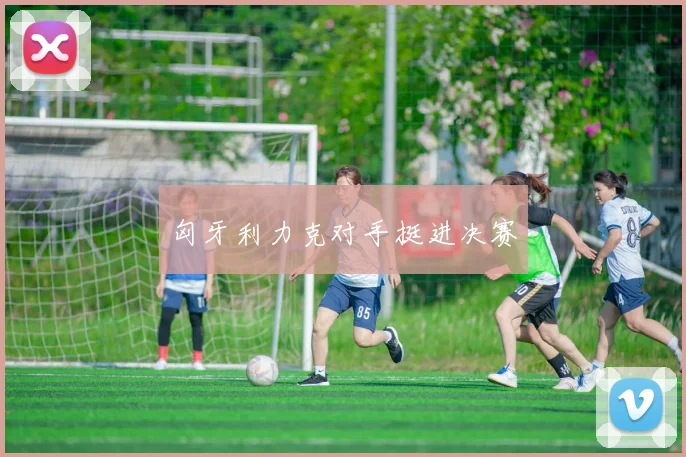 匈牙利力克对手挺进决赛