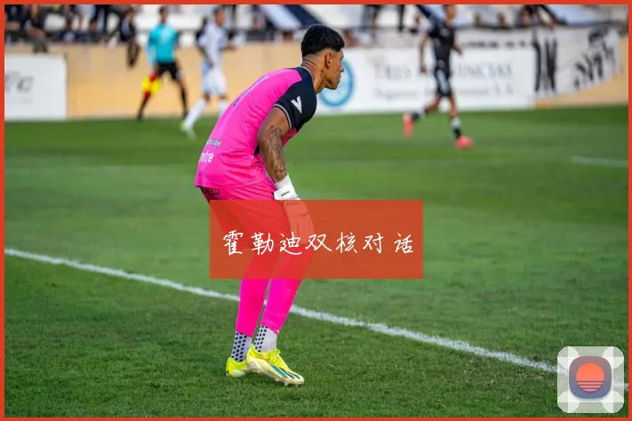 霍勒迪双核对话