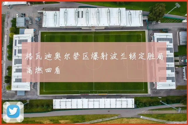 格瓦迪奥尔禁区爆射波兰锁定胜局高燃回看
