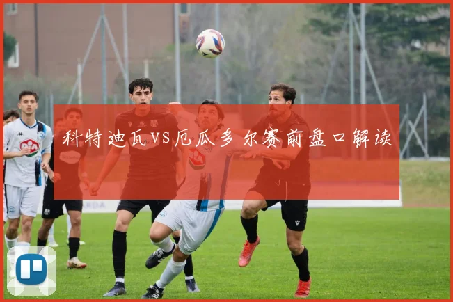 科特迪瓦vs厄瓜多尔赛前盘口解读