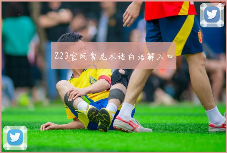 Z23官网常见术语白话解入口