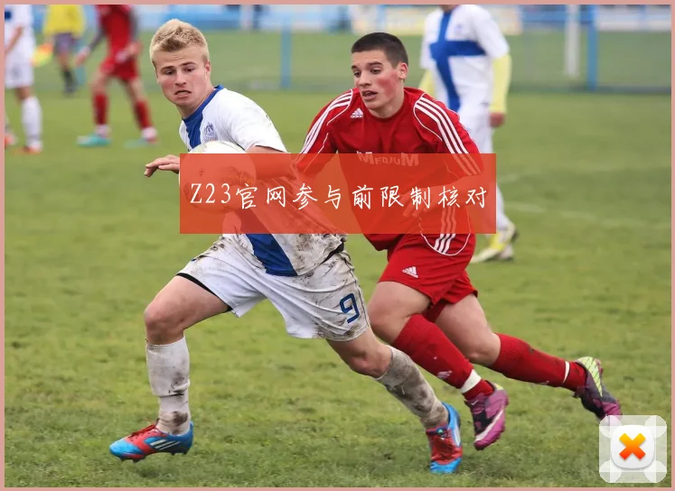 Z23官网参与前限制核对