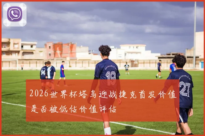 2026世界杯塔乌迎战捷克首发价值是否被低估价值评估